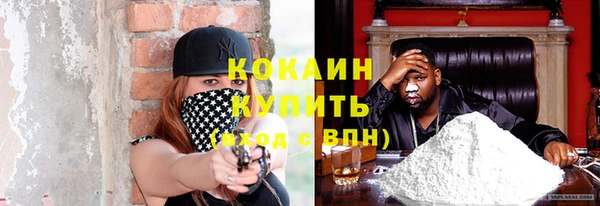 мяу мяу мука Аркадак