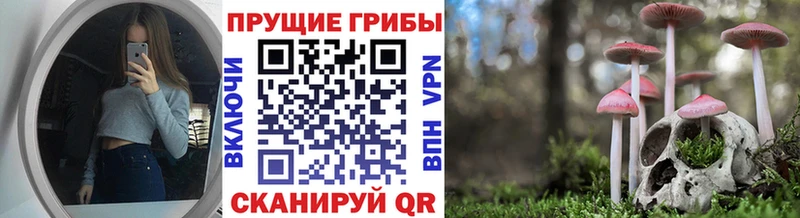 кракен tor  Белокуриха  Галлюциногенные грибы мухоморы  цена наркотик 